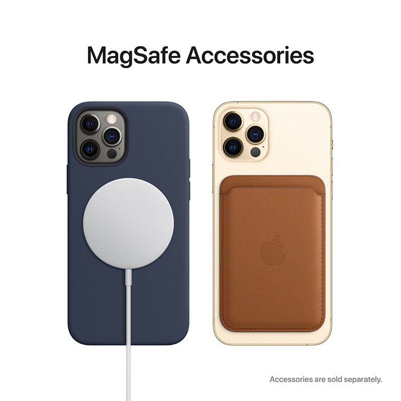 iPhone 12 pro vs iPhone 12 pro max Accessories techwine.org